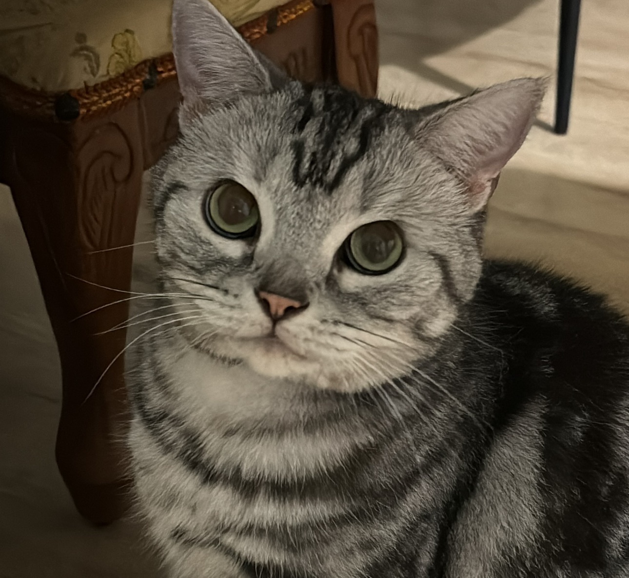 avatar image