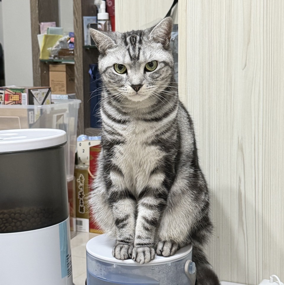 馨