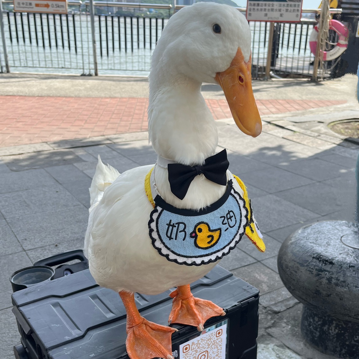 Hui